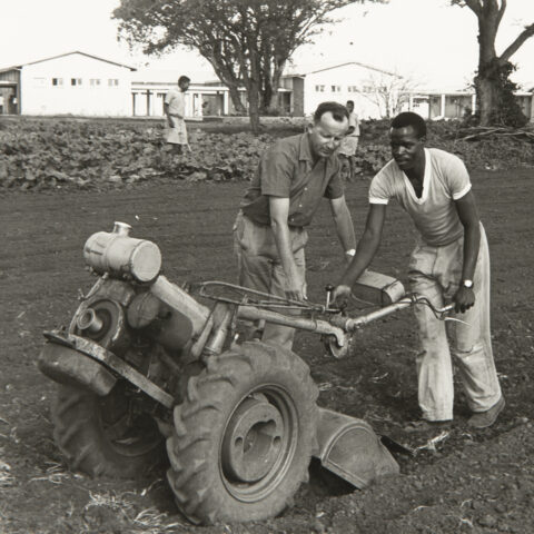 Bruder Eduard Brühwiler bei der Gartenarbeit mit einer Ackerfräse im Seminar für Minderjährige in der Nähe von Gweru. (SMB-Archiv)