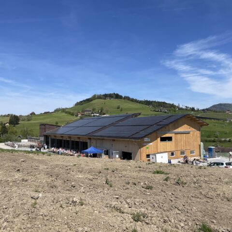 Auf dem Stalldach befindet sich eine Photovoltaikanlage, die 115000 Kilowattstunden Energie pro Jahr produziert.